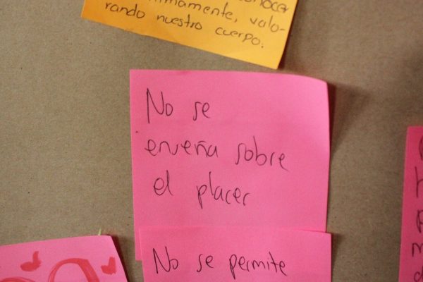 2024 EDUCACION (36)